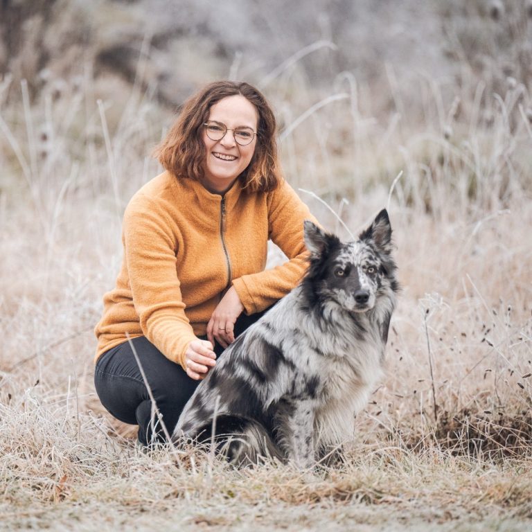 Mobile Hundeschule und Einzeltraining 